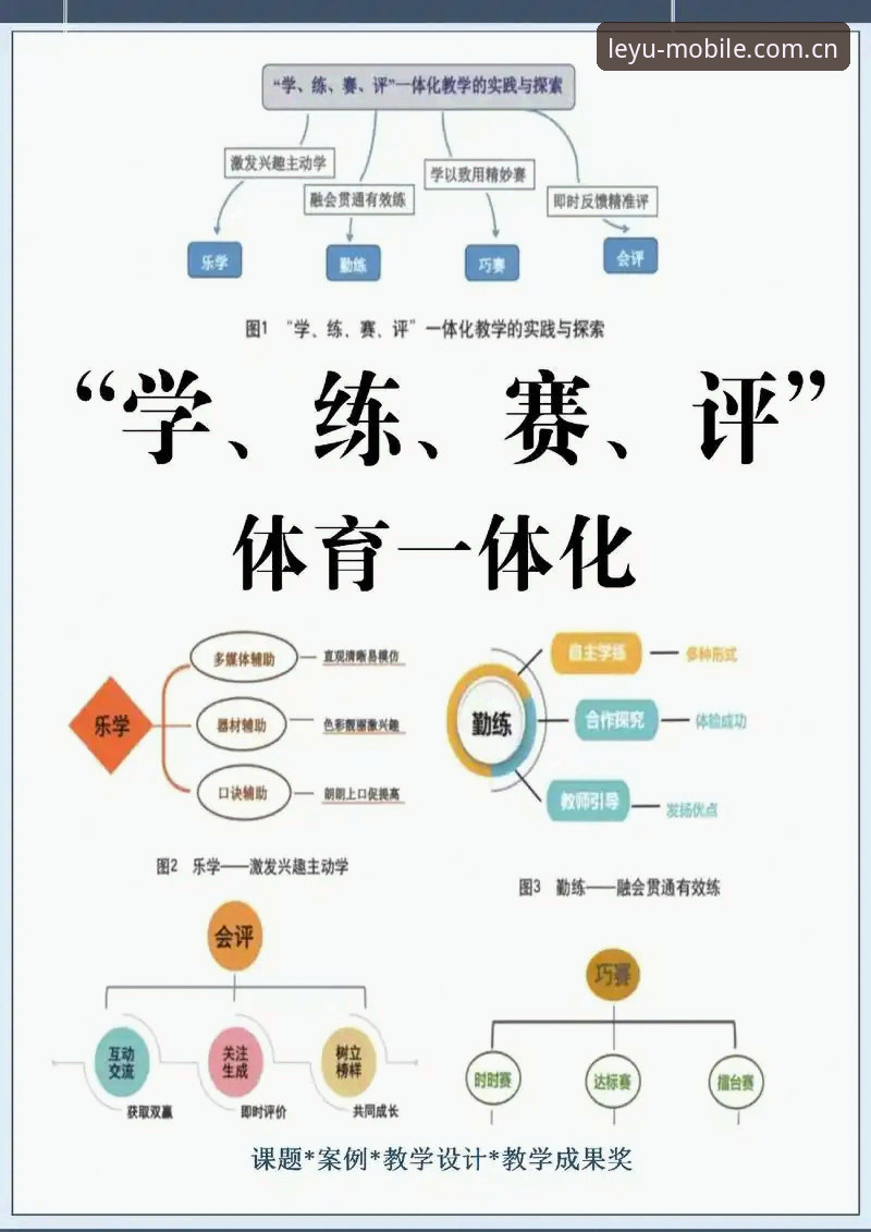 乐鱼体育平台安全性深度分析：从入门到精通的完整指南